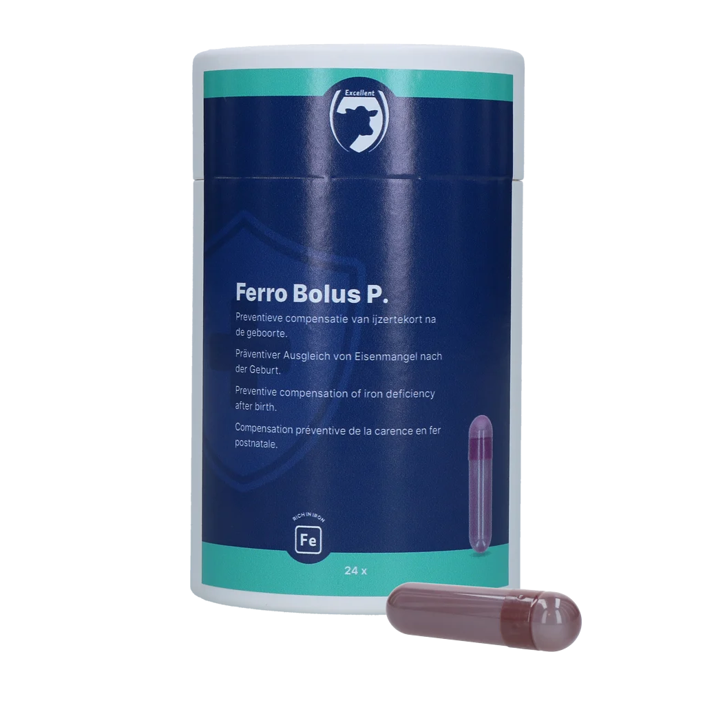 Bolus de fer pour veaux, 24 x 8,5 g – Excellent Ferro Bolus P – Image 1