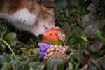 Souris pour chat en pomme de pin et feutre avec Madnip, orange, 8 cm – Forest Friends Mouse – Image 3
