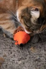 Souris pour chat en pomme de pin et feutre avec Madnip, orange, 8 cm – Forest Friends Mouse – Image 4
