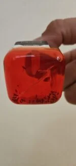 Piège à mouches des fruits pour intérieur, 20 ml – Knock Pest – Image 3
