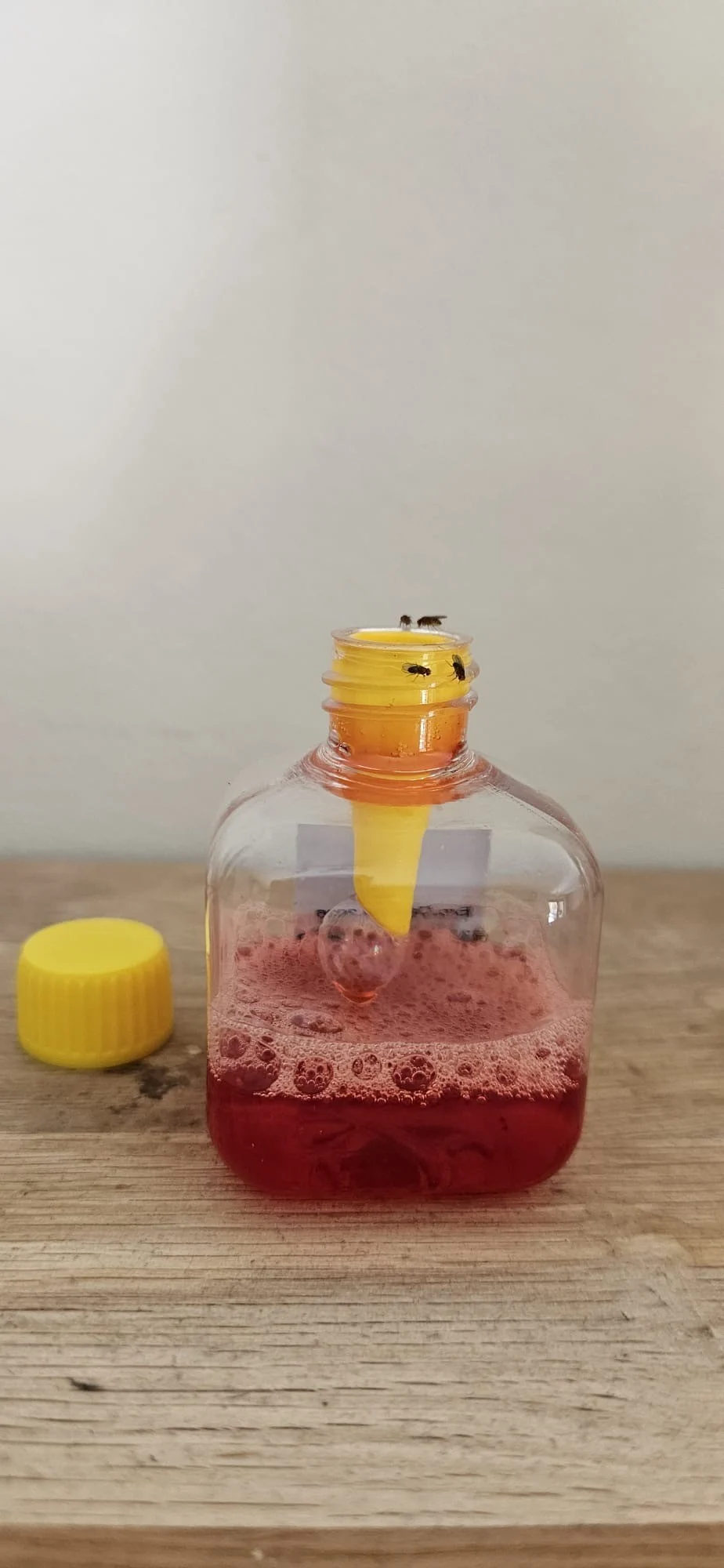 Piège à mouches des fruits pour intérieur, 20 ml – Knock Pest – Image 4