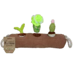 Boîte de fouille pour chien avec plantes amovibles – Garden Paws Snuffle Box Sprout, Crop & Cactus