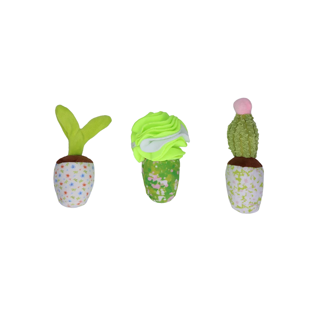 Boîte de fouille pour chien avec plantes amovibles – Garden Paws Snuffle Box Sprout, Crop & Cactus – Image 2
