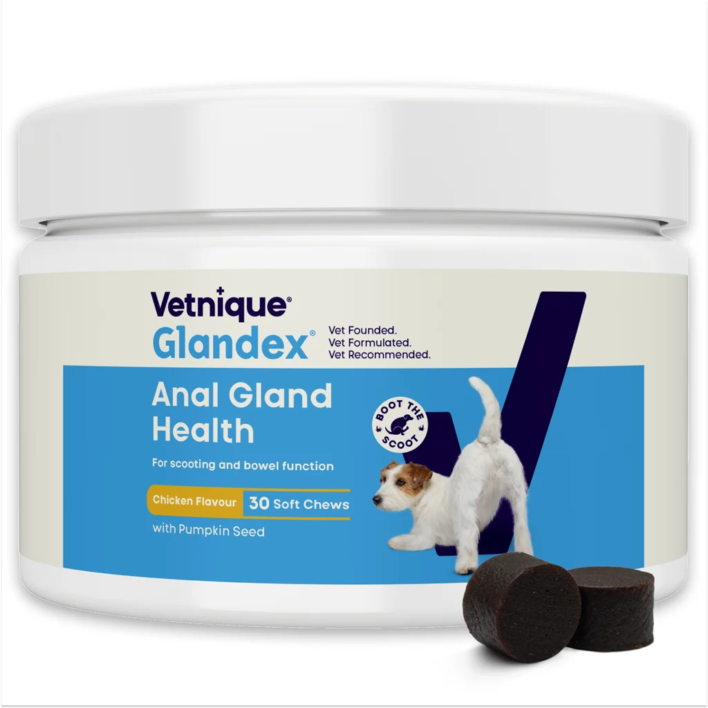 GLAN44979A.png Friandises pour chien à la saveur poulet et aux probiotiques, 30 unités (120 g) – Glandex Soft Chews – Image 1