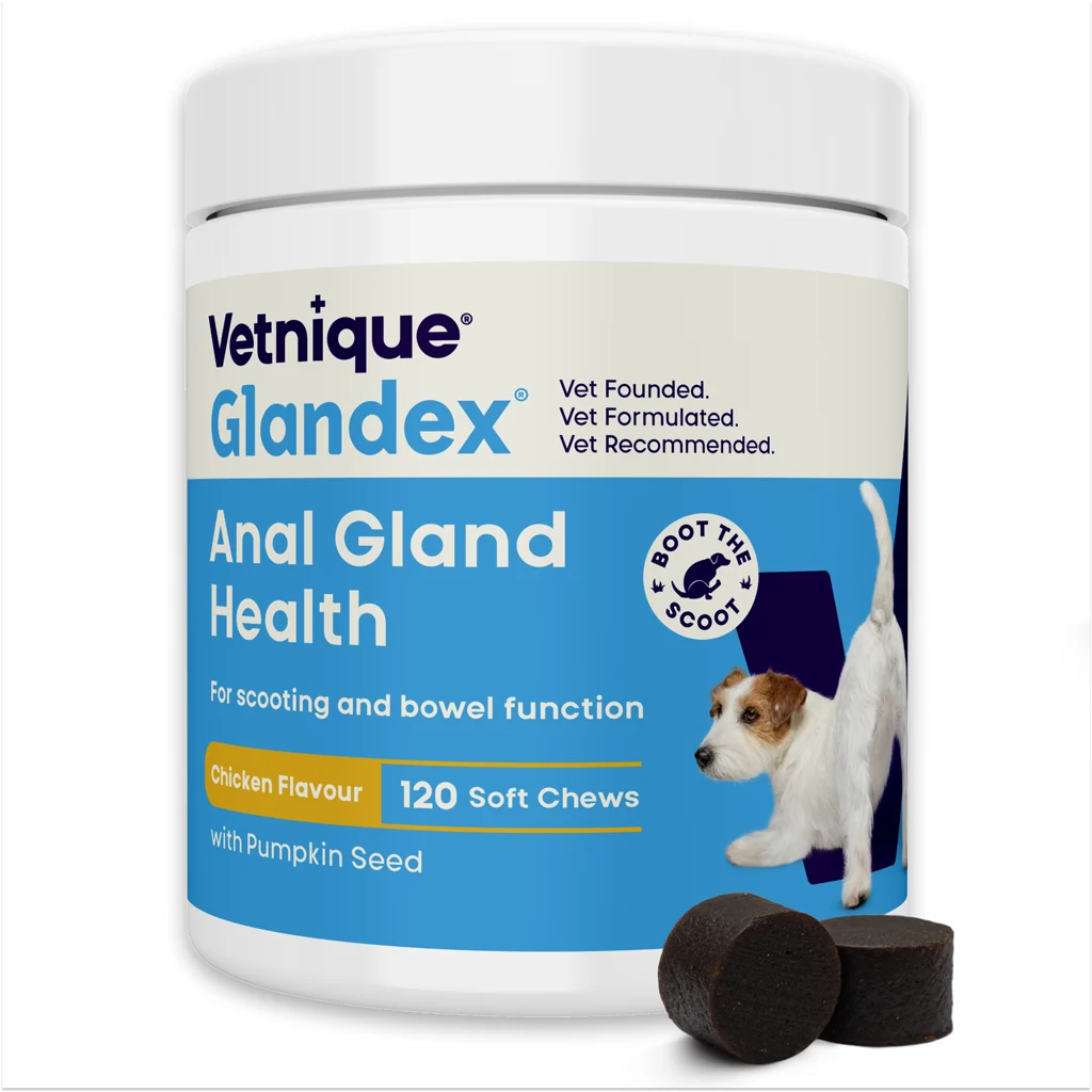 Friandises pour chiens au poulet avec probiotiques, 120 unités (480 g) – Glandex Soft Chews – Image 1