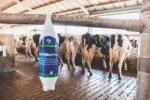Gel pour la mamelle des vaches laitières avec calendula, 500 ml – Excellent Gold Mint Pro – Image 3
