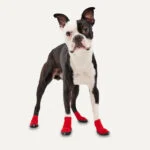 Chaussures antidérapantes et imperméables pour chien, taille M, rouge et noir, 2 pièces – Goo-eez Ultras – Image 3