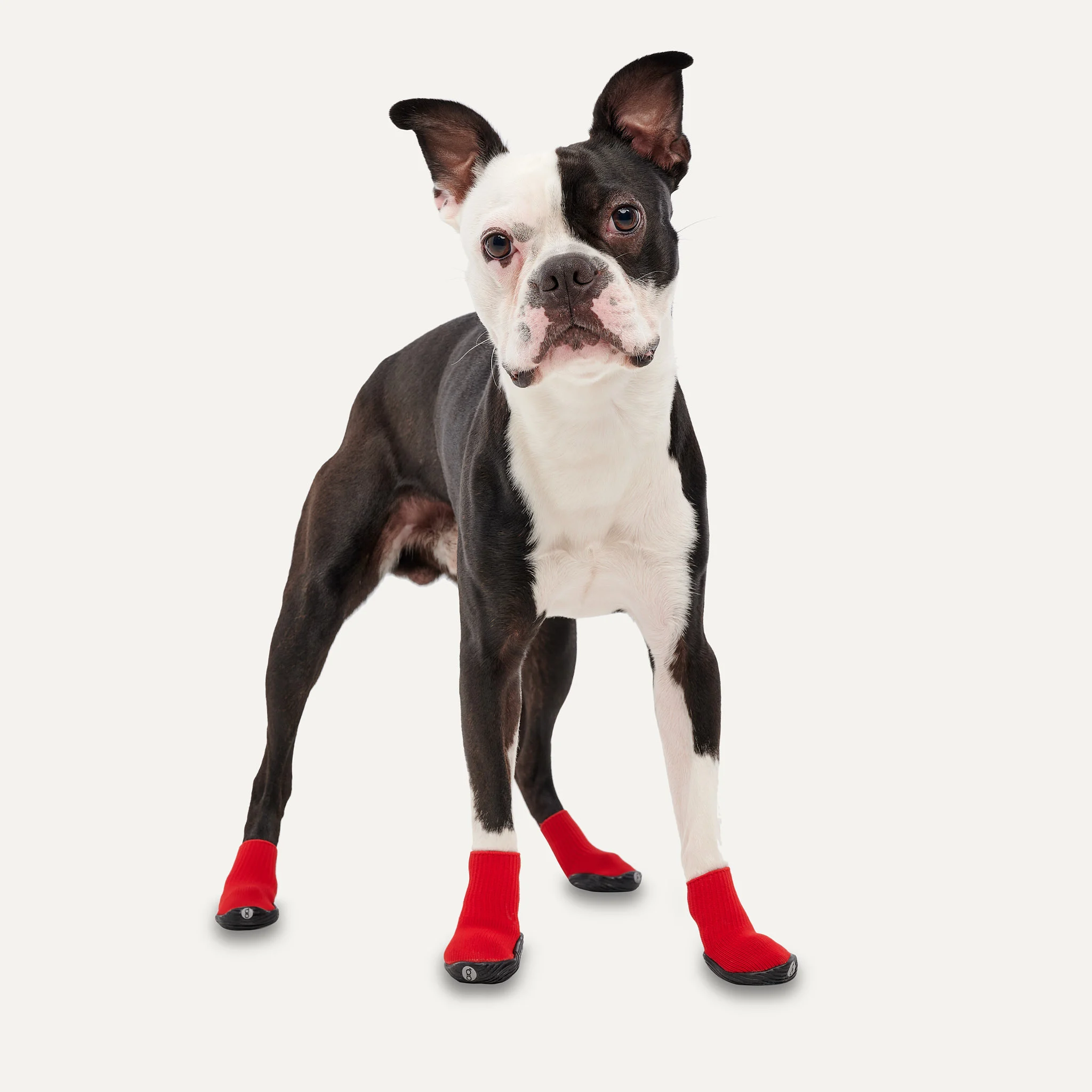 Chaussures antidérapantes et imperméables pour chien, taille M, rouge et noir, 2 pièces – Goo-eez Ultras – Image 3