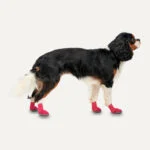 Chaussures imperméables pour chien à semelle antidérapante, taille XXL, rouge et noir, 2 pièces – Goo-eez Ultras – Image 2