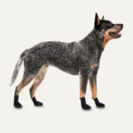 Chaussures imperméables pour chien avec semelle en caoutchouc, 4 pièces, XS, noires – Goo-eez Lites – Image 2