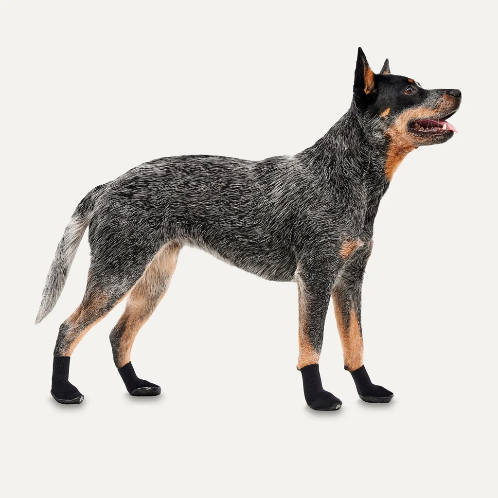 Chaussures imperméables pour chien avec semelle en caoutchouc, 4 pièces, XS, noires – Goo-eez Lites – Image 2