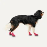 Chaussures imperméables pour chien avec semelle en caoutchouc, 4 pièces, XS, rouge et noir – Goo-eez Lites – Image 2