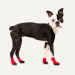 Chaussures imperméables pour chien à semelle en caoutchouc, 4 pièces, M, rouge et noir – Goo-eez Lites – Image 3