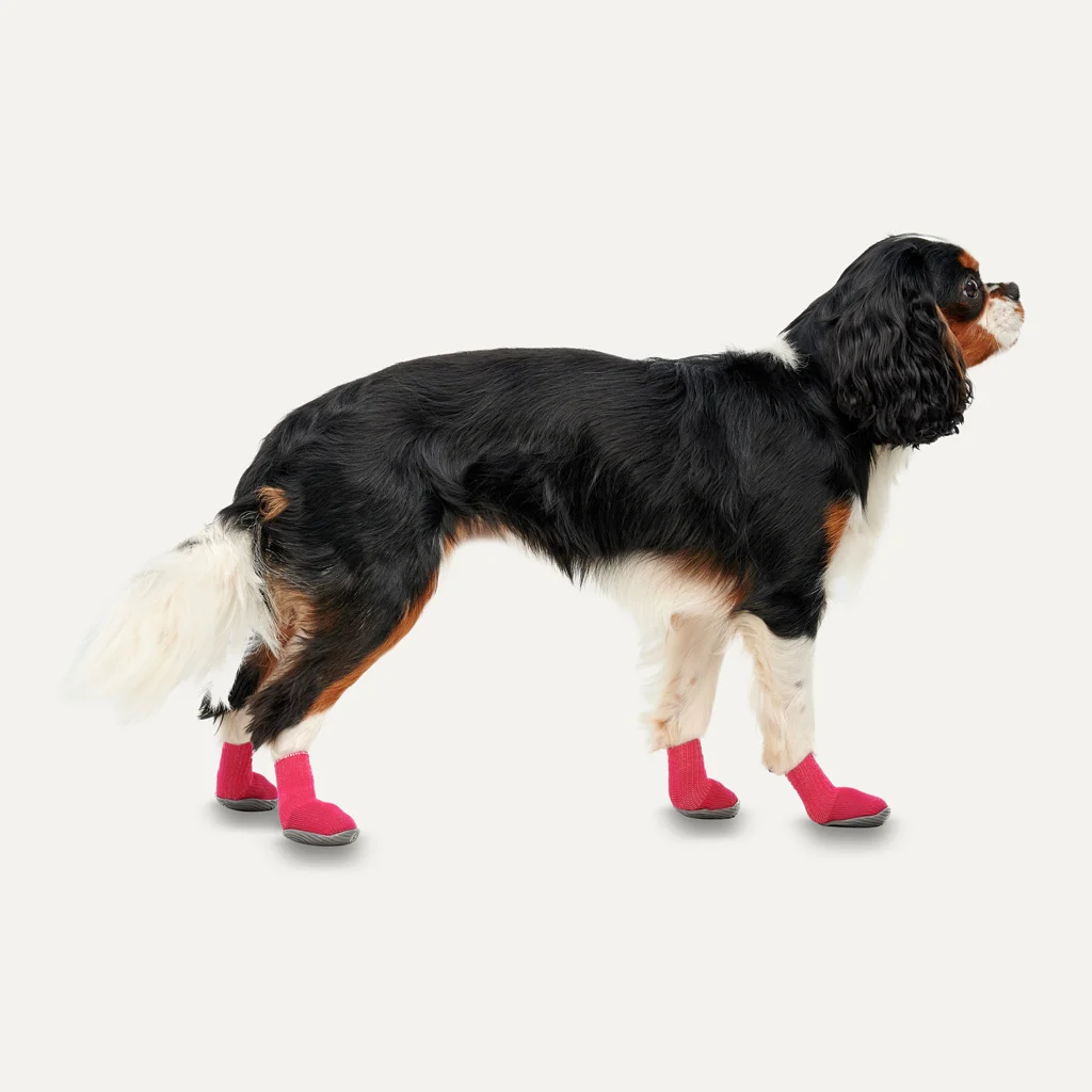 Chaussures imperméables pour chien à semelle en caoutchouc, 4 pièces, L, rouge et noir – Goo-eez Lites – Image 2