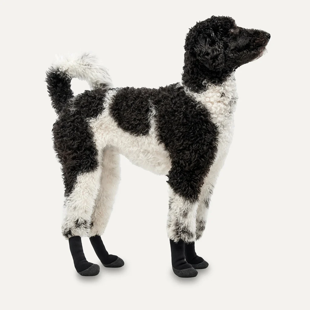 Chaussures imperméables pour chien avec semelle en caoutchouc, 4 pièces, XXS, camouflage et noir – Goo-eez Lites – Image 2