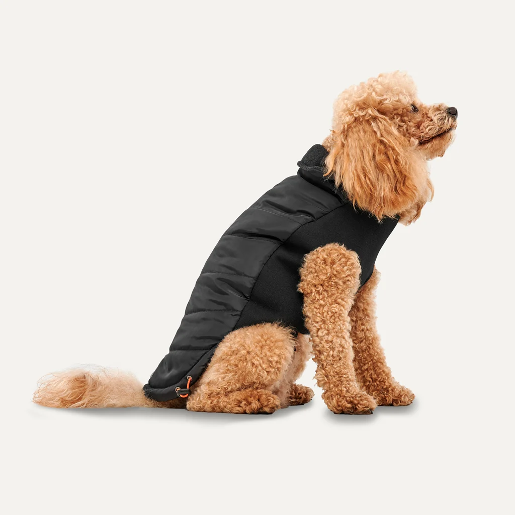 Manteau pour chien avec doublure en peluche, déperlant, L, longueur de dos 52 cm, noir – Goo-eez Mock Neck Signature Wrap Jacket – Image 1