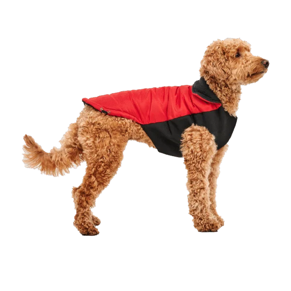 Manteau pour chien avec doublure en peluche et extérieur déperlant, taille XS, rouge et noir – Goo-eez Mock Neck Signature Wrap Jacket