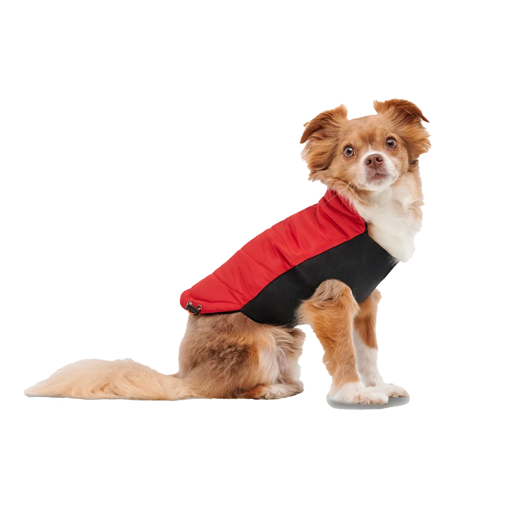 Manteau pour chien avec doublure en peluche, déperlant, L, longueur de dos 52 cm, rouge et noir – Goo-eez Mock Neck Signature Wrap Jacket – Image 3