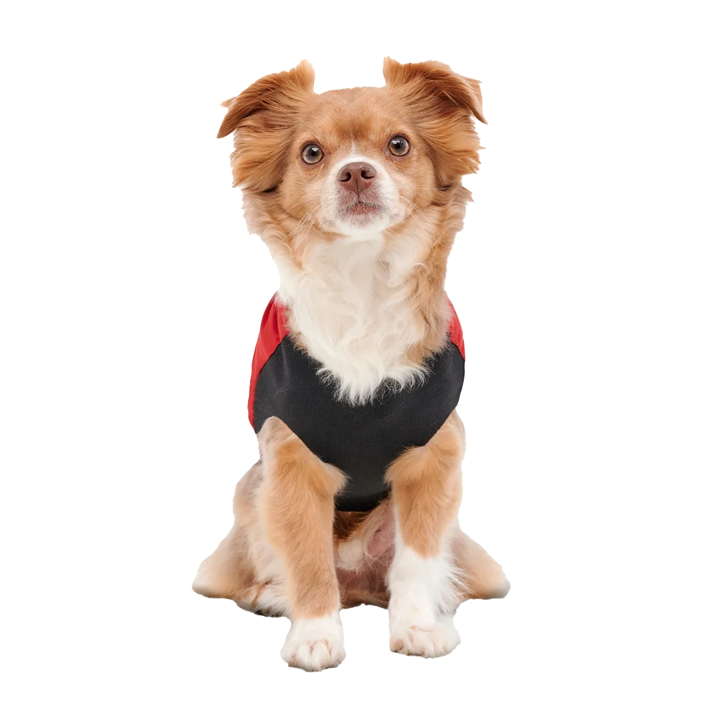 Manteau pour chien avec doublure en peluche et extérieur déperlant, taille XL, rouge et noir – Goo-eez Mock Neck Signature Wrap Jacket – Image 5
