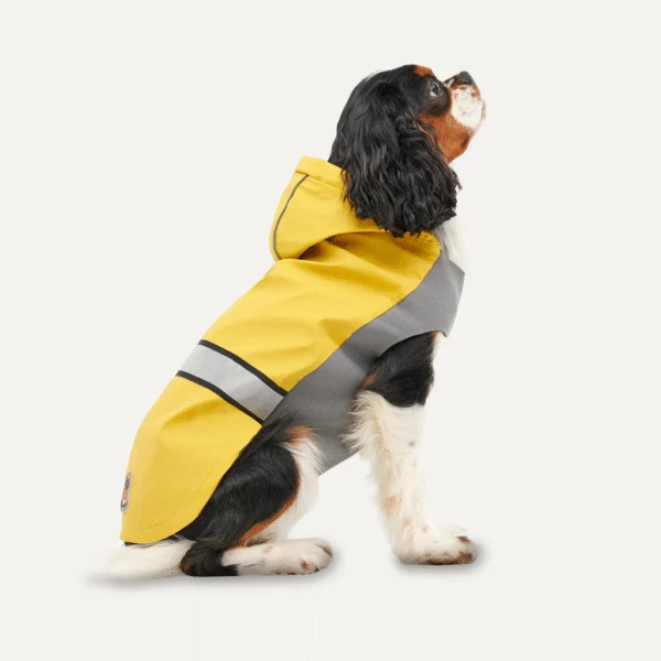Imperméable pour chien avec capuche et bordure réfléchissante, taille S, jaune et gris – Goo-eez Reflective Hooded Raincoat