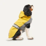 Imperméable pour chien à capuche avec bordure réfléchissante, XXL, longueur du dos 64 cm, jaune et gris – Goo-eez Reflective Hooded Raincoat