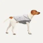 Sweat à capuche pour chien avec doublure en peluche, gris, XXS – Goo-eez Kangaroo Fleece Hoodie