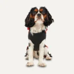 Sweat à capuche en polaire pour chien avec doublure en peluche, taille XXL, rouge et noir – Goo-eez Kangaroo Fleece Hoodie – Image 2