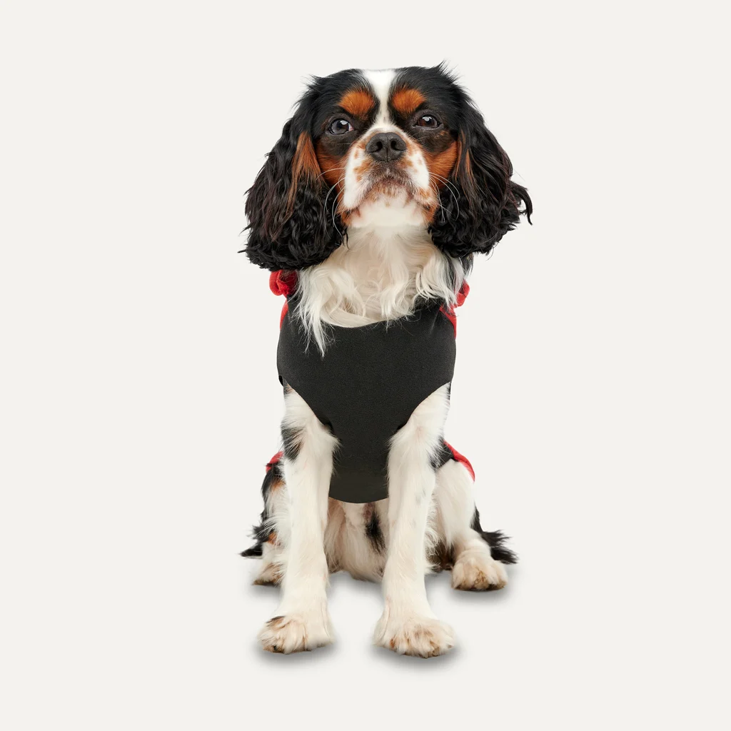Sweat à capuche en polaire pour chien avec doublure en peluche, taille XXL, rouge et noir – Goo-eez Kangaroo Fleece Hoodie – Image 2
