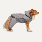 Combinaison de neige pour chien avec capuche, imperméable, S, longueur de dos 40 cm, gris – Goo-eez Hooded Full Body Snowsuit