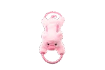 Jouet à tirer pour chien avec corde continue et grand couineur – Growl Haystackerz Puddles le cochon – Image 2