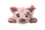 Peluche pour chien avec 5 couineurs et papier froissé – Growl Cuddlerz Snorters le Cochon – Image 2