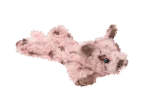 Peluche pour chien avec 5 couineurs et papier froissé – Growl Cuddlerz Snorters le Cochon – Image 3