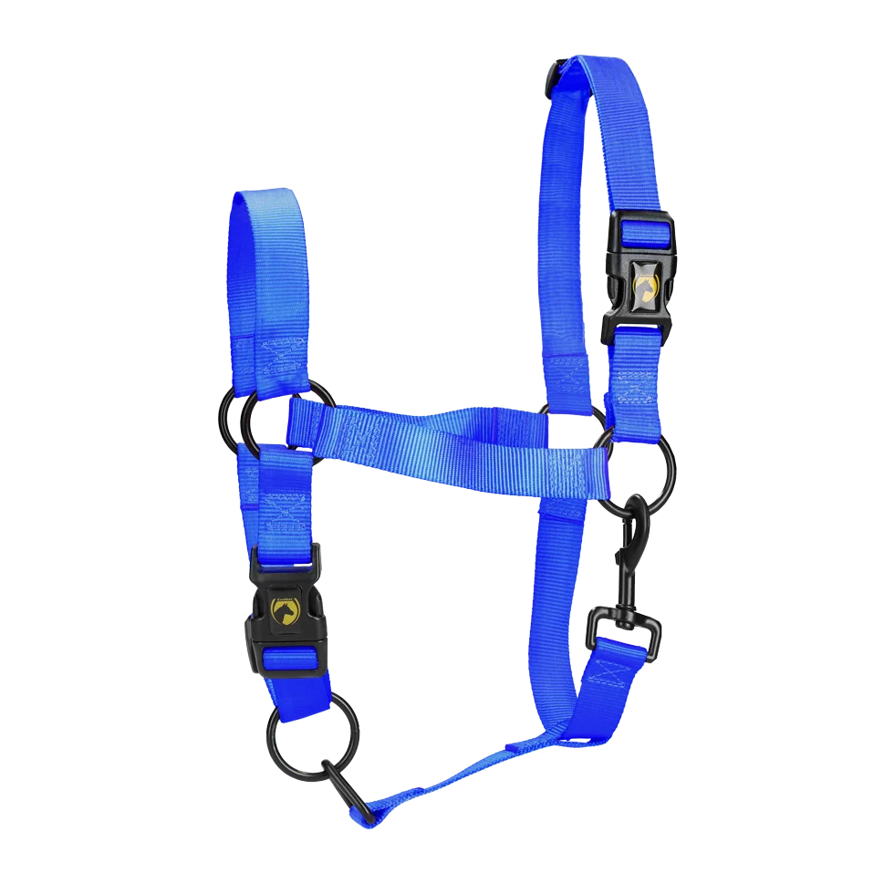 Licol en nylon avec muserolle réglable, bleu XS – Excellent Essential – Image 1