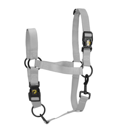 Licol en nylon avec muserolle réglable, gris XS – Excellent Essential