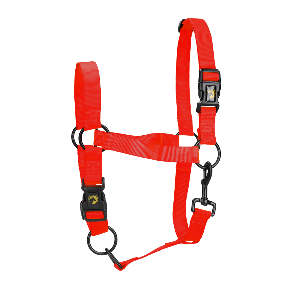 Halster van Nylon met Verstelbare Neusriem, Rood L – Excellent Essential Licol en nylon avec muserolle réglable, rouge L – Excellent Essential
