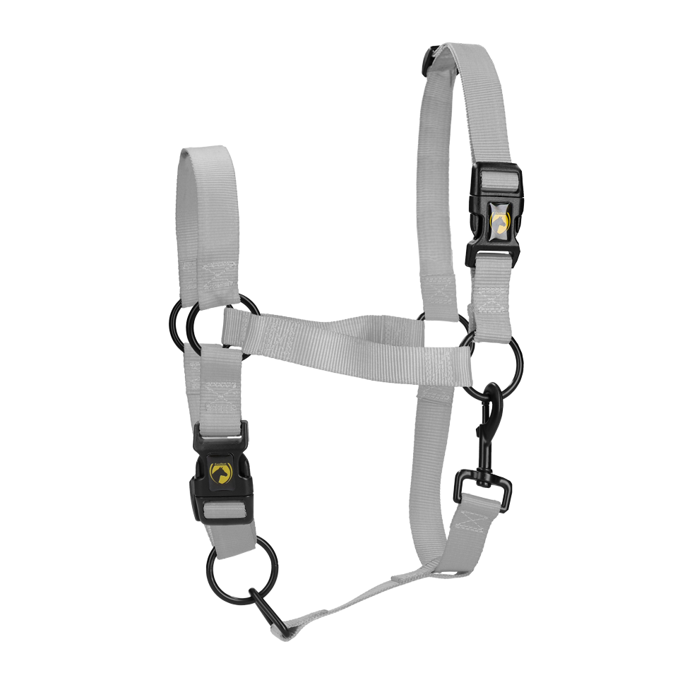 Halster van Nylon met Verstelbare Neusriem, Grijs XL – Excellent Essential Licol en nylon avec muserolle réglable, gris, XL – Excellent Essential
