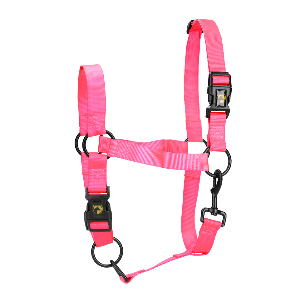 Halster van Nylon met Verstelbare Neusriem en Kopstuk, Roze XL – Excellent Essential Licol en nylon avec muserolle et têtière réglables, rose XL – Excellent Essential