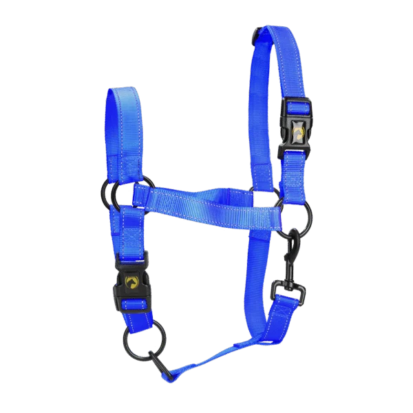 Licol en nylon avec détails réfléchissants bleu XS – Excellent Premium