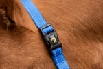 Licol en nylon avec détails réfléchissants bleu XS – Excellent Premium – Image 4