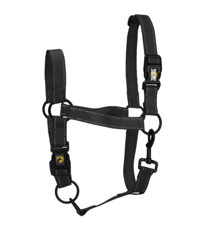 Licol avec boucle à clip et détails réfléchissants, noir, XS – Excellent Premium
