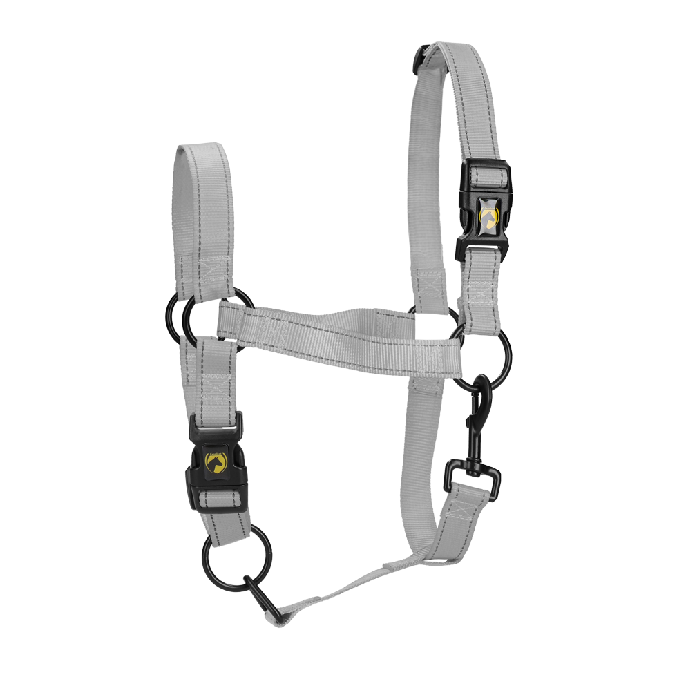 Halster van Nylon met Reflecterende Details Grijs M – Excellent Premium Licol en nylon avec détails réfléchissants gris M – Excellent Premium