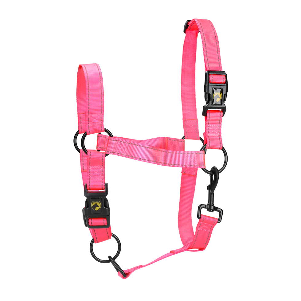 Halster van Nylon met Reflecterende Details, Roze M – Excellent Premium Licol en nylon avec détails réfléchissants, rose, M – Excellent Premium