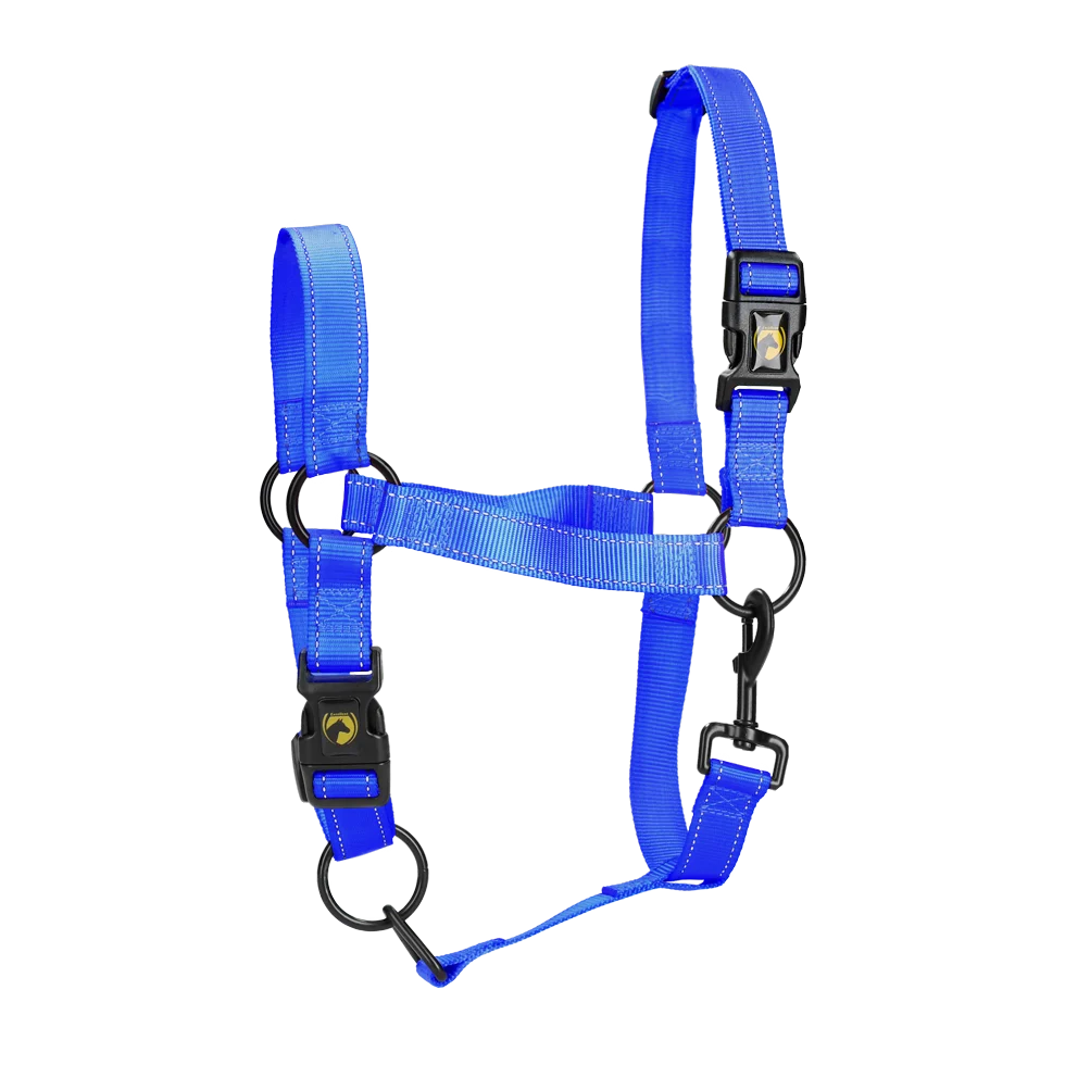 Licol en nylon bleu avec détails réfléchissants L – Excellent Premium – Image 1