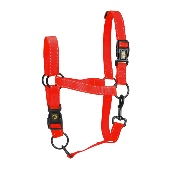 Licol en nylon avec détails réfléchissants, rouge, L – Excellent Premium