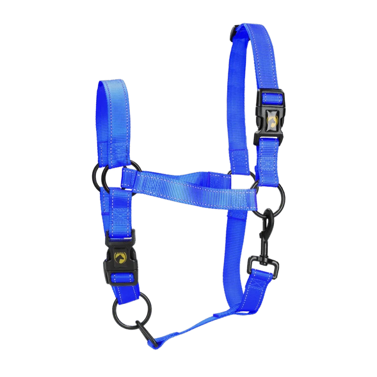 Licol en nylon à détails réfléchissants, bleu, XL – Excellent Premium