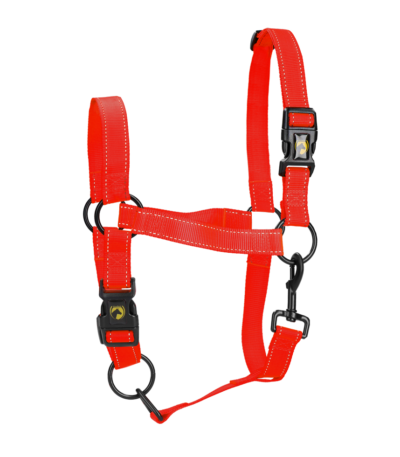 Licol en nylon avec détails réfléchissants, rouge XL – Excellent Premium