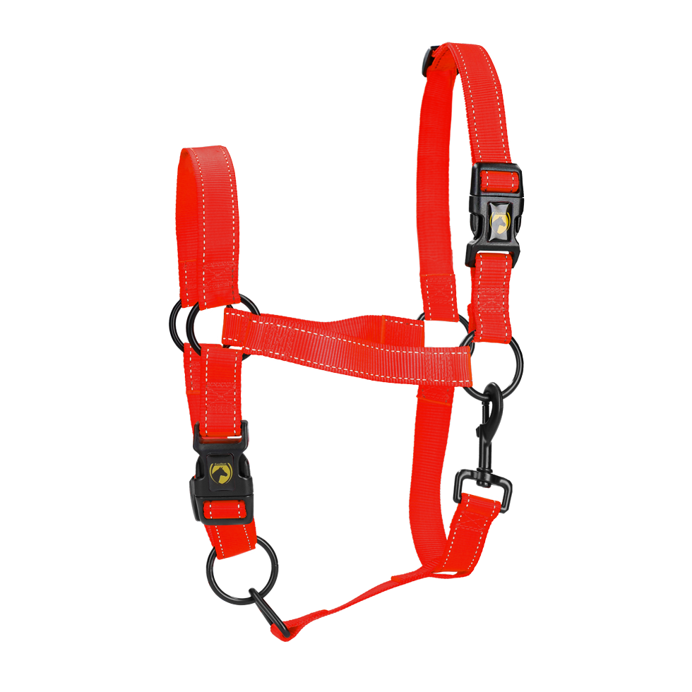 Halster van Nylon met Reflecterende Details, Rood XL – Excellent Premium Licol en nylon avec détails réfléchissants, rouge XL – Excellent Premium