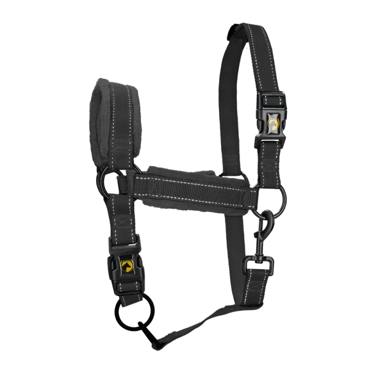 Licol doublé polaire avec détails réfléchissants, noir L – Excellent Superior