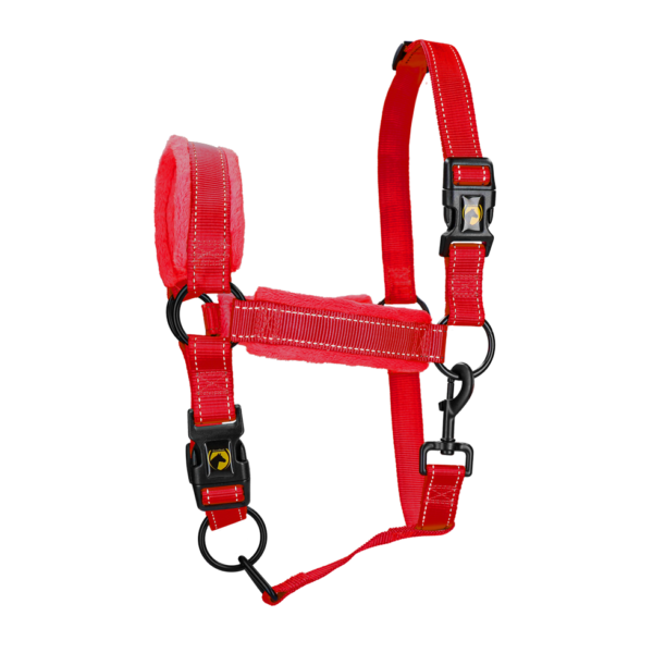 Licol avec polaire et détails réfléchissants, rouge XL – Excellent Superior