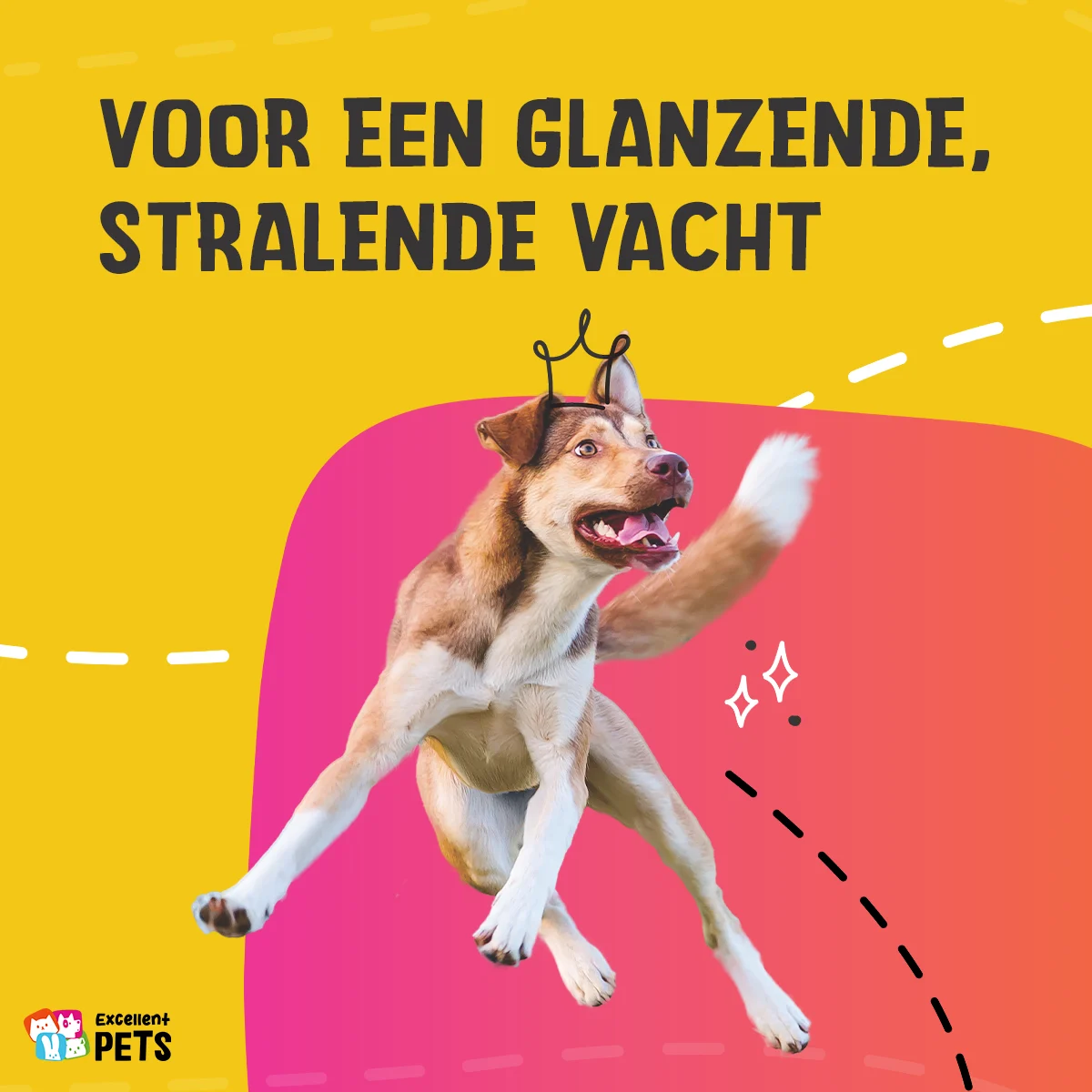 Huile de soin pour la peau des chiens à l’huile de graines de chanvre, 10 ml – Excellent Pets HempOne Oil – Image 4